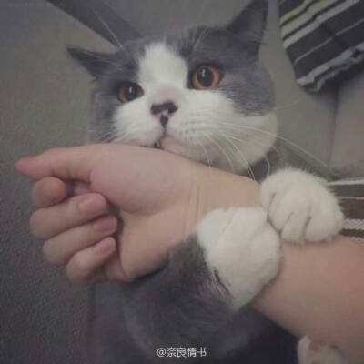 修真世界内购破解版下载