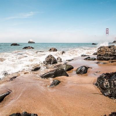 隔离区2废土求生游戏